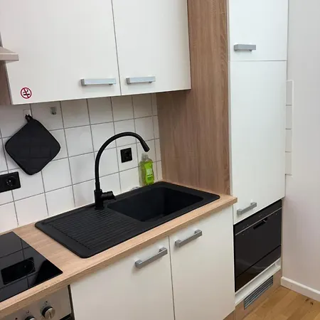 Apartmán Danube Rooms Abteistrasse - Self Checkin - Kostenlos Parken Direkt An Der Unterkunft - Ideal Fuer Geschaeftsreisende Und Staedtetrips Pasov