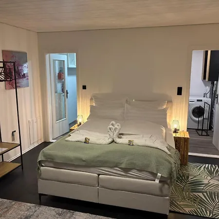 Apartment Danube Abteistrasse - Self Checkin - Moderne - Ideal Fuer Geschaeftsreisende Und Staedtetrips Passau