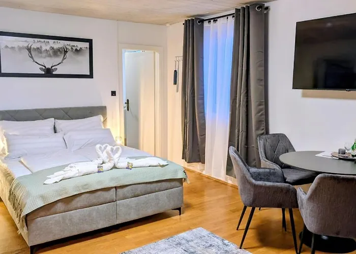 Danube Rooms Abteistrasse - Self Checkin - Moderne Wohnungen - Ideal Fuer Geschaeftsreisende Und Staedtetrips Appartement Passau